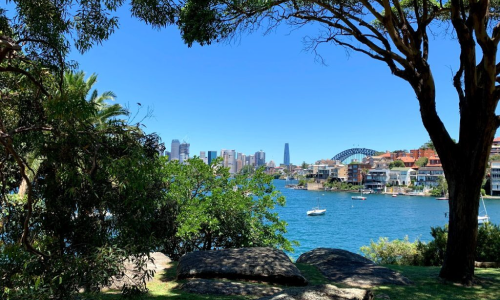 Harbour Bridge Views